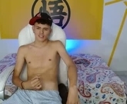 lalo_boy is a  year old male webcam sex model.